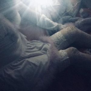 小仙儿《仙儿骚麦》歌词
