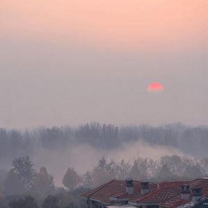 小仙儿《仙儿骚麦》歌词
