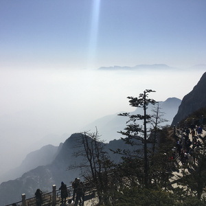 小仙儿《仙儿骚麦》歌词
