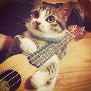 小仙儿《仙儿骚麦》歌词
